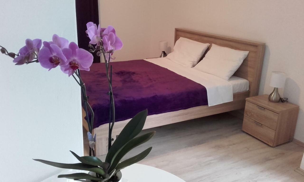 רוביני Apartment Tip Top מראה חיצוני תמונה